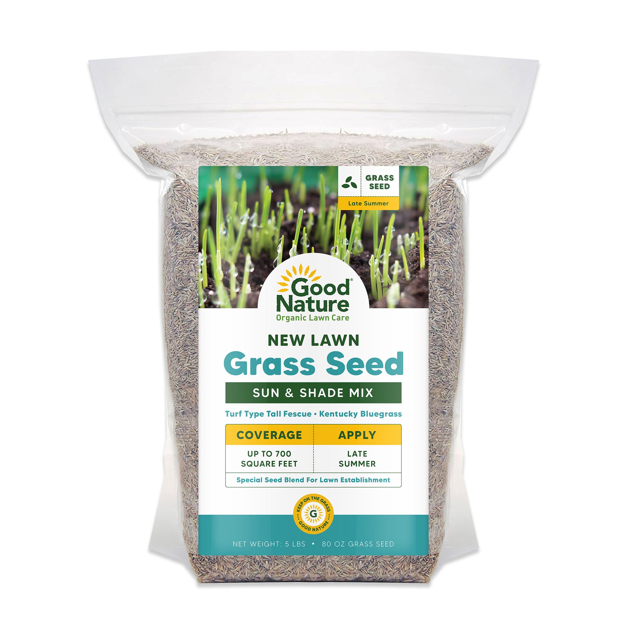 best grass seed for low light areas New Lawn Grass Seed